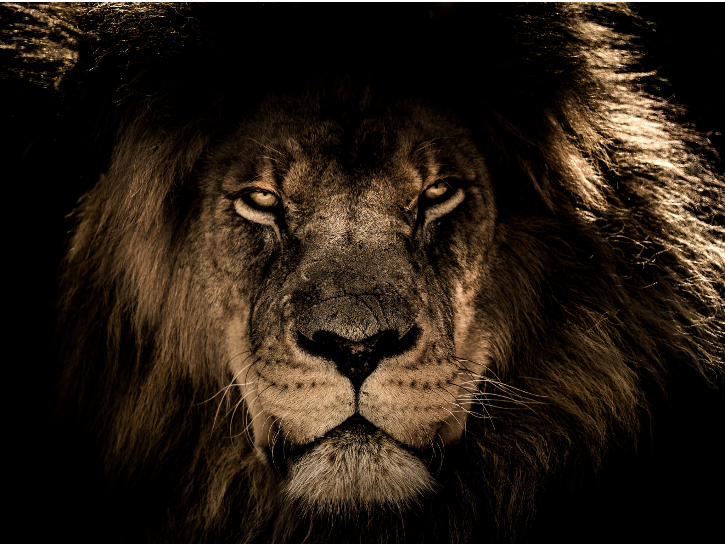 techniques to master fear