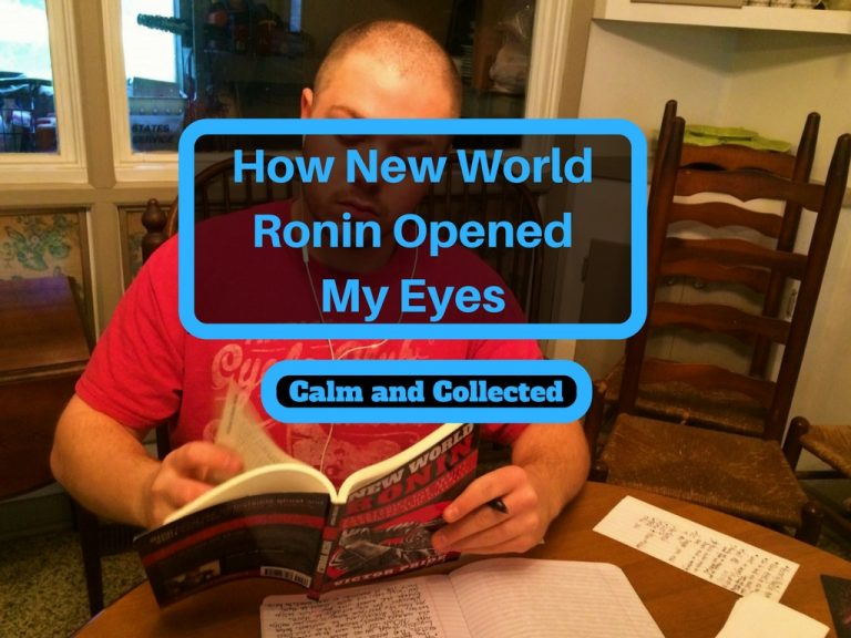 new world ronin review
