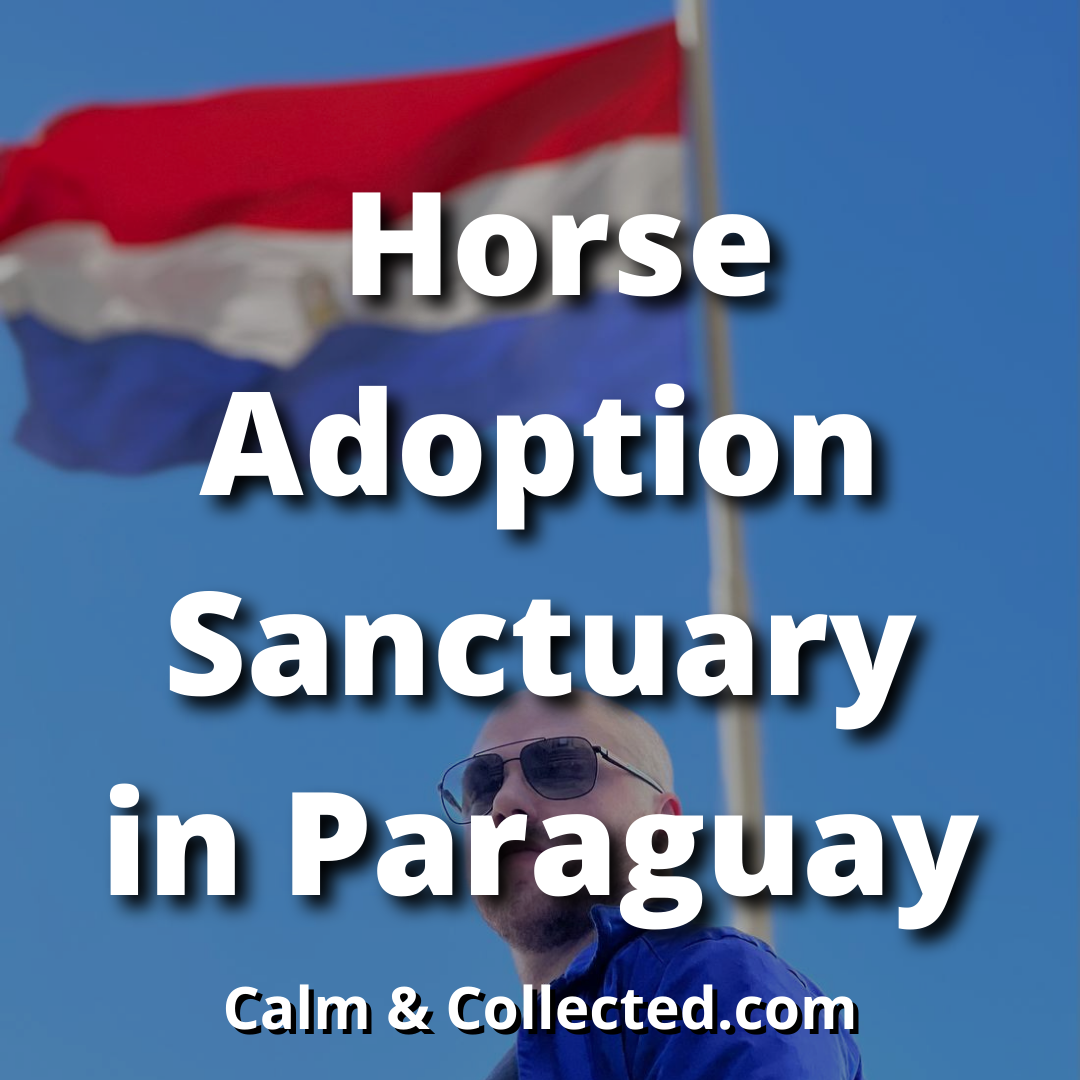 dylan madden Horse Adoption Sanctuary in Paraguay